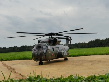 P1010605 (FILEminimizer) (Custom)