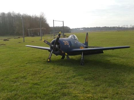 f8f 2