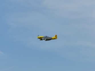 p51d 3